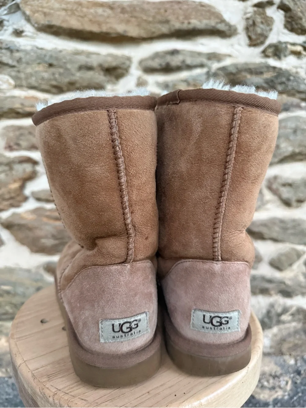 Women’s 7 Short Chesnut Uggs